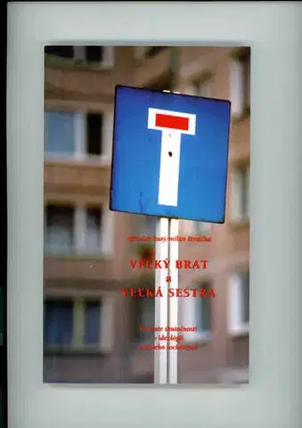Politológia Veľký Brat a Veľká Sestra - Miroslav Kusý,Milan Šimečka