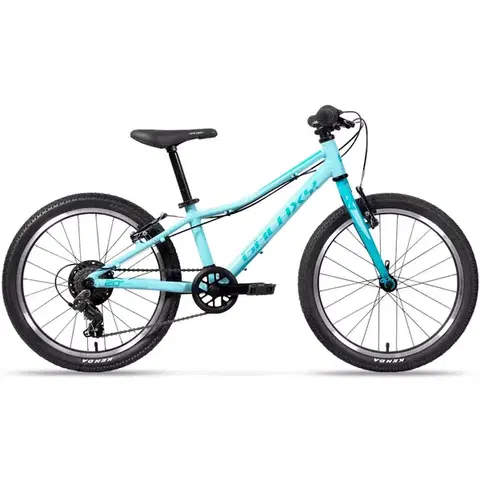 Bicykle Galaxy Cetis 20"  2025 tyrkysová - 10" (113-135 cm)