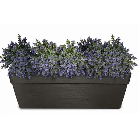 Záhrada Kvetináč Melrose Glamour 50x18x16h 10lt Antracit Dba50