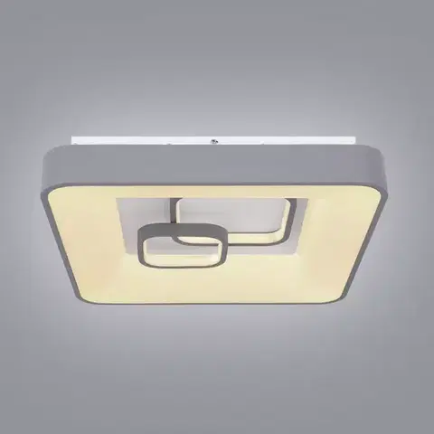 Lampy do obývačky Stropná lampa 48416-50 strieborný PL
