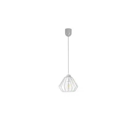 Svietidlá  Luster na lanku CEED 1xE27/60W/230V šedá 0754