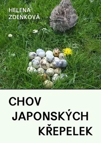 Zvieratá, chovateľstvo - ostatné Chov japonských křepelek - Helena Zdeňková