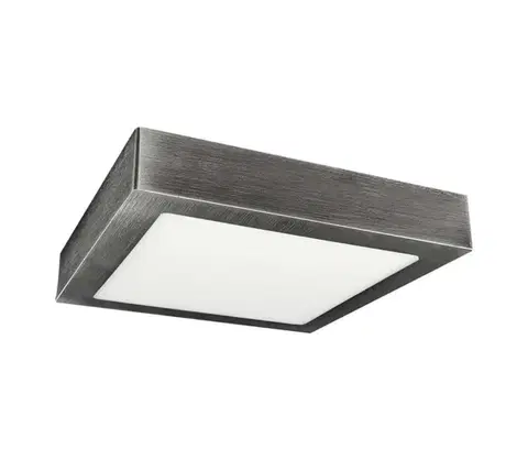 Svietidlá Greenlux LED Stropné svietidlo FENIX LED/24W/230V 2800K 29,8 cm 
