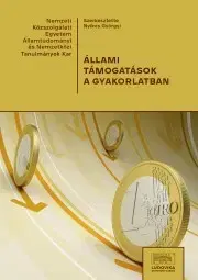 Ekonómia, Ekonomika Állami támogatások a gyakorlatban - Nyikos Györgyi