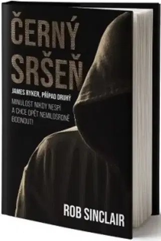 Detektívky, trilery, horory Černý sršeň - Rob Sinclair