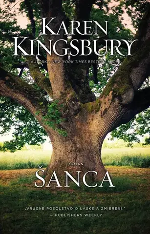 Romantická beletria Šanca - Karen Kingsbury