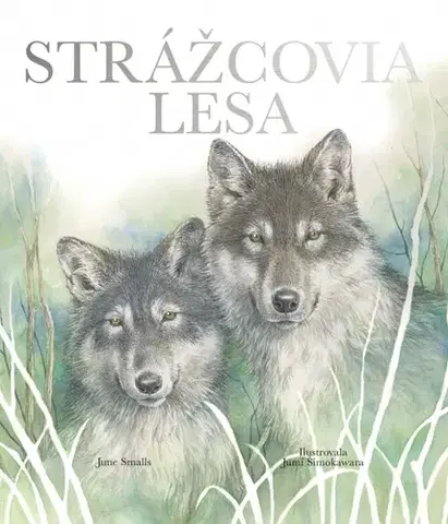 Pre deti a mládež - ostatné Strážcovia lesa - June Smalls,Yumi Shimokawara,Ladislav Holiš