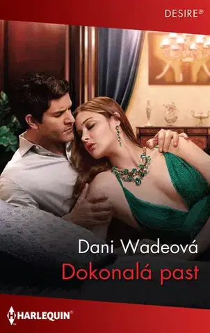 Romantická beletria Dokonalá past - Dani Wade
