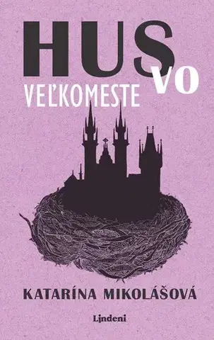 Novely, poviedky, antológie Hus vo veľkomeste - Katarína Mikolášová