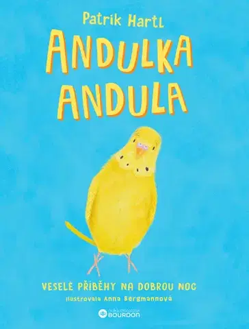 Rozprávky Andulka Andula - Patrik Hartl