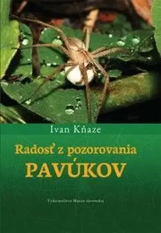 Príroda Radosť z pozorovania pavúkov - Ivan Kňaze