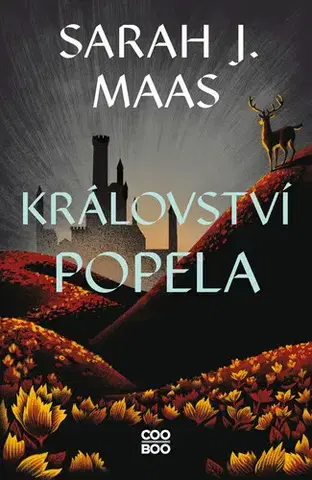 Young adults Království popela - Sarah J. Maas
