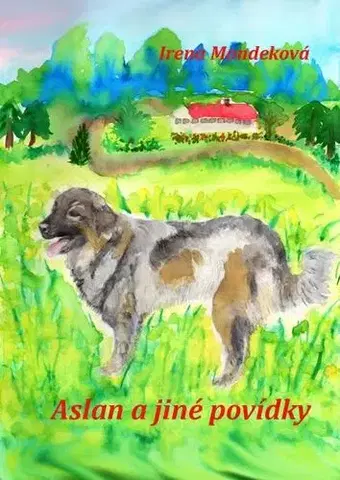 Novely, poviedky, antológie Aslan a jiné povídky - Irena Mondeková