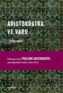 Česká beletria Aristokratka ve varu - Evžen Boček