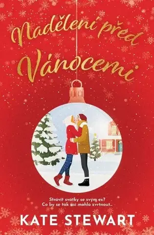 Romantická beletria Nadělení před Vánocemi - Kate Stewart