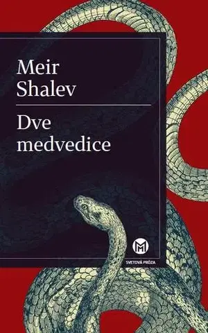 Svetová beletria Dve medvedice - Meir Shalev,Silvia Singer