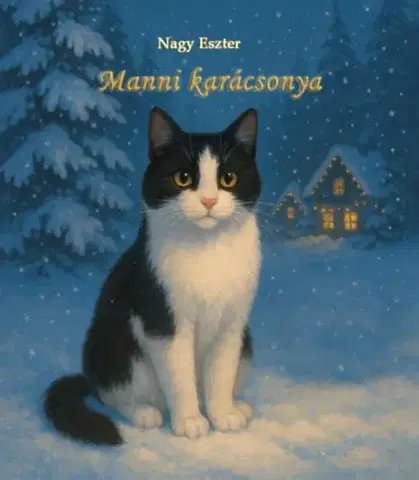 Rozprávky Manni karácsonya - Eszter Nagy