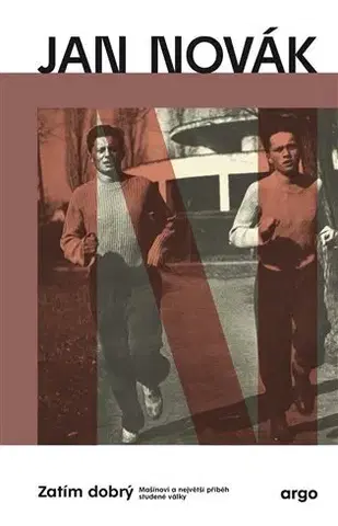 Česká beletria Zatím dobrý - Jan Novák