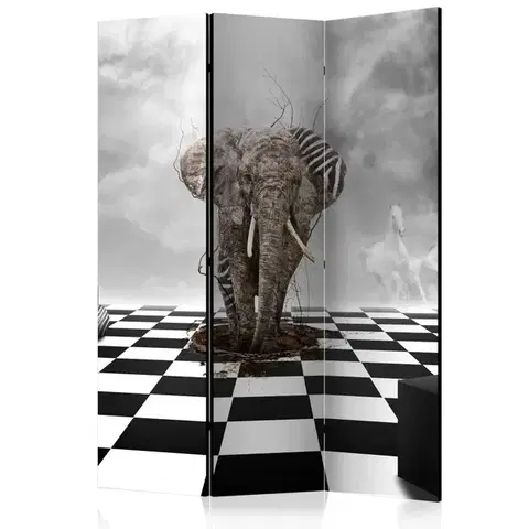 Paravány Paraván Escape from Africa Dekorhome