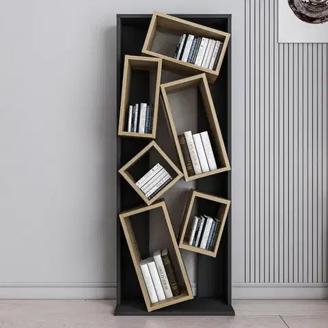 Knižnice Knižnica Carmen - Black, Oak