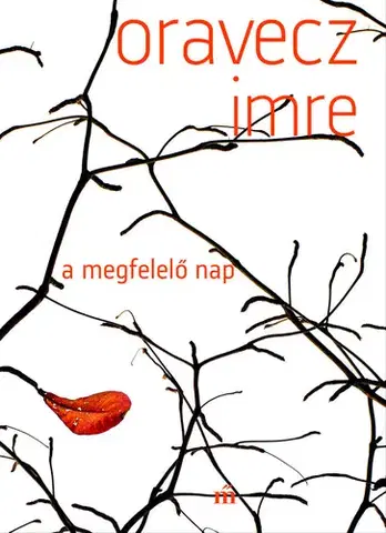 Svetová beletria A megfelelő nap - Imre Oravecz