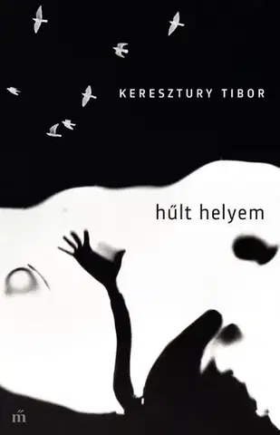 Svetová beletria Hűlt helyem - Tibor Keresztury