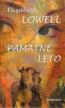 Romantická beletria Pamätné leto - Elizabeth Lowell