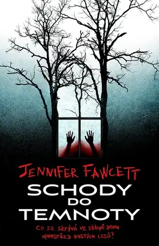 Detektívky, trilery, horory Schody do temnoty - Jennifer Fawcett