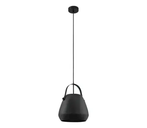 Svietidlá Eglo 33649 - Závesné svietidlo BEDNALL na lanku 1xE27/60W/230V 33649