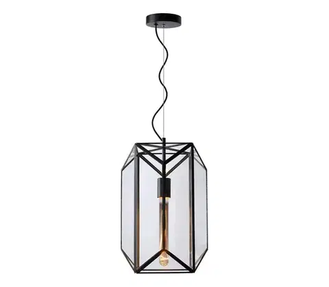 Svietidlá Lucide 25407/01/30 - Luster na lanku FERN 1xE27/60W/230V 25406/01/30