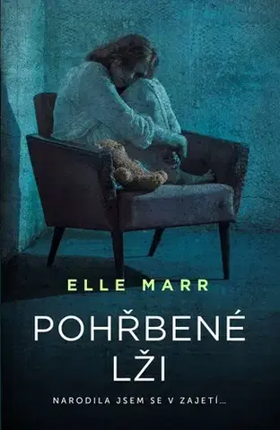 Detektívky, trilery, horory Pohřbené lži - Elle Marr,Hana Dubovská