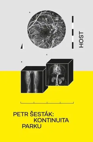 Česká beletria Kontinuita parku - Petr Šesták