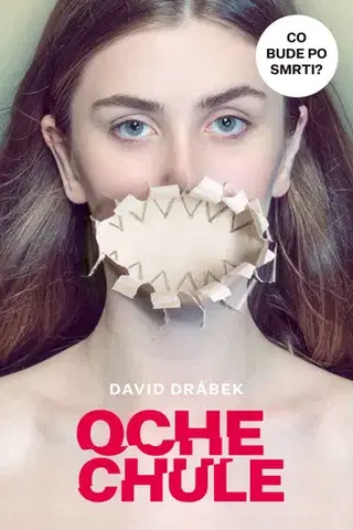 Česká beletria Ochechule - David Drábek