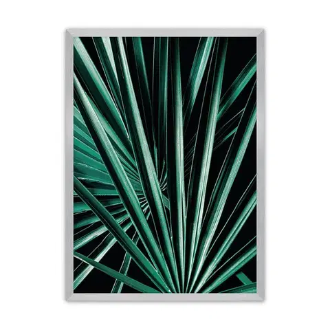 Obrazy Plagát Dark Palm Tree