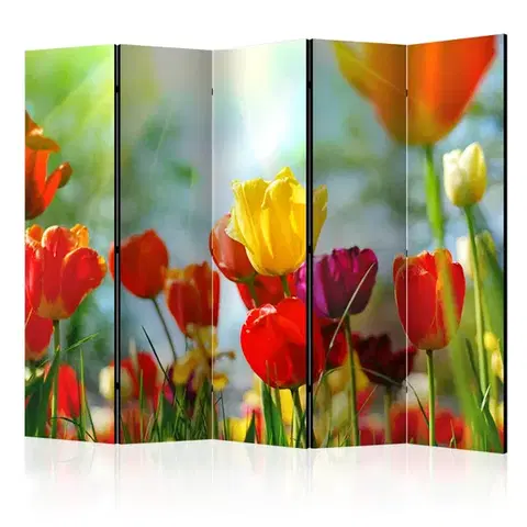 Paravány Paraván Spring Tulips II Dekorhome