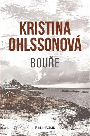 Detektívky, trilery, horory Bouře - Kristina Ohlsson,Vendula Nováková