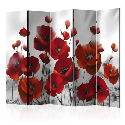 Paravány Paraván Poppies in the Moonlight Dekorhome