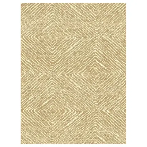 Moderné koberce Koberec New Shiraz 1,4/2,0 2001 4064 B55