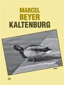 História Kaltenburg - Marcel Beyer
