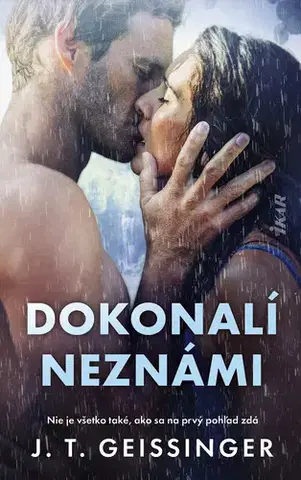 Romantická beletria Dokonalí neznámi - J.T. Geissinger