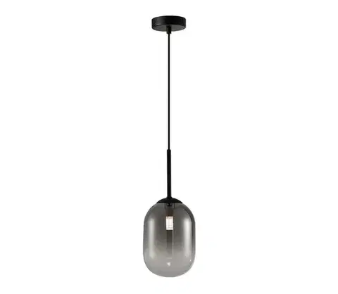 Svietidlá  Luster na lanku ALIAS 1xG9/8W/230V pr. 12 cm čierna/šedá ML0322