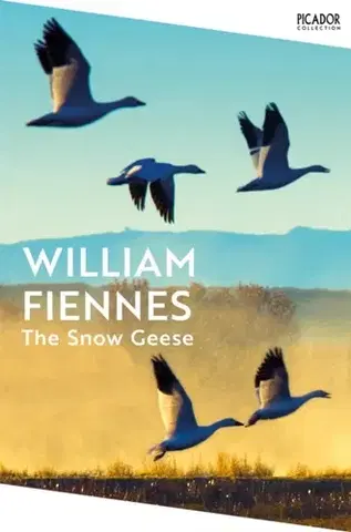 Vtáky, hydina The Snow Geese - William Fiennes