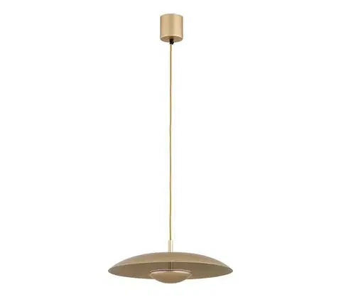 Svietidlá Argon 8869 - LED luster na lankách BOLTON LED/12,5W/230V 3000K zlatý 8869