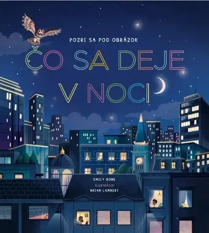 Leporelá, krabičky, puzzle knihy Čo sa deje v noci - Pozri sa pod obrázok - Emily Bone,Brian Lambert