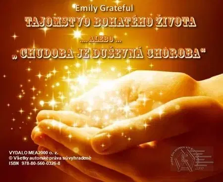 Motivačná literatúra - ostatné Tajomstvo bohatého života - Emily Grateful