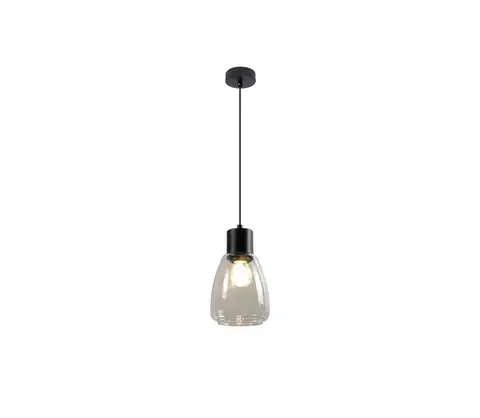 Svietidlá  Luster na lanku MOLDO 1xE27/40W/230V čierna/číra 31-35066