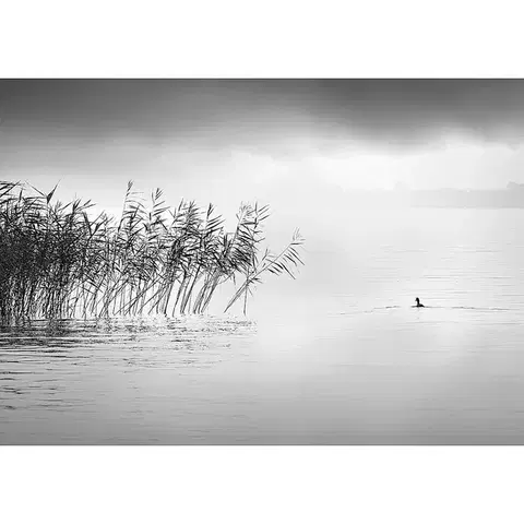 Obrazy Plátno maľba By the Lake II