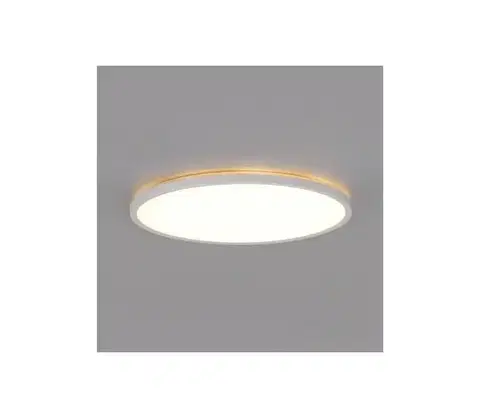 Svietidlá  LED kúpeľňové stropné svietidlo NIVERA LED/24W/230V IP54 pr. 30 cm biele 004090
