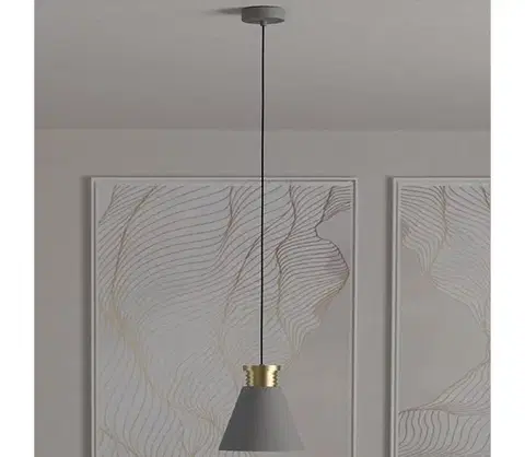 Svietidlá Eglo 43838 - Luster na lanku TWICKEN 1xE27/40W/230V 43838