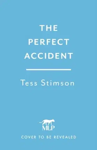 Detektívky, trilery, horory The Perfect Accident - Tess Stimson